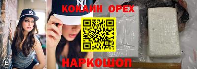 сатива Будённовск