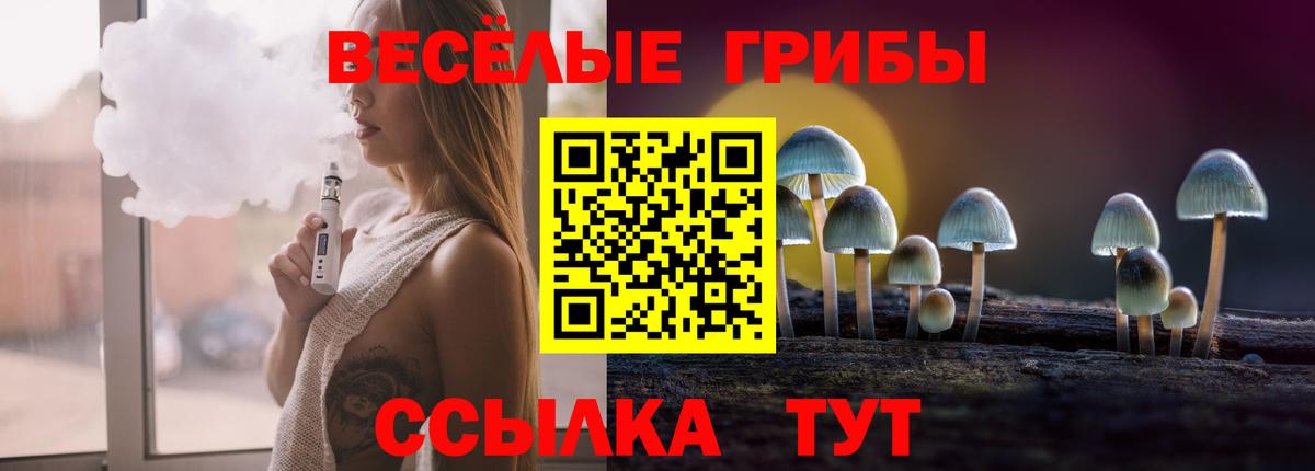 Геленджик  Псилоцибиновые грибы Magic Shrooms  Вход с VPN 