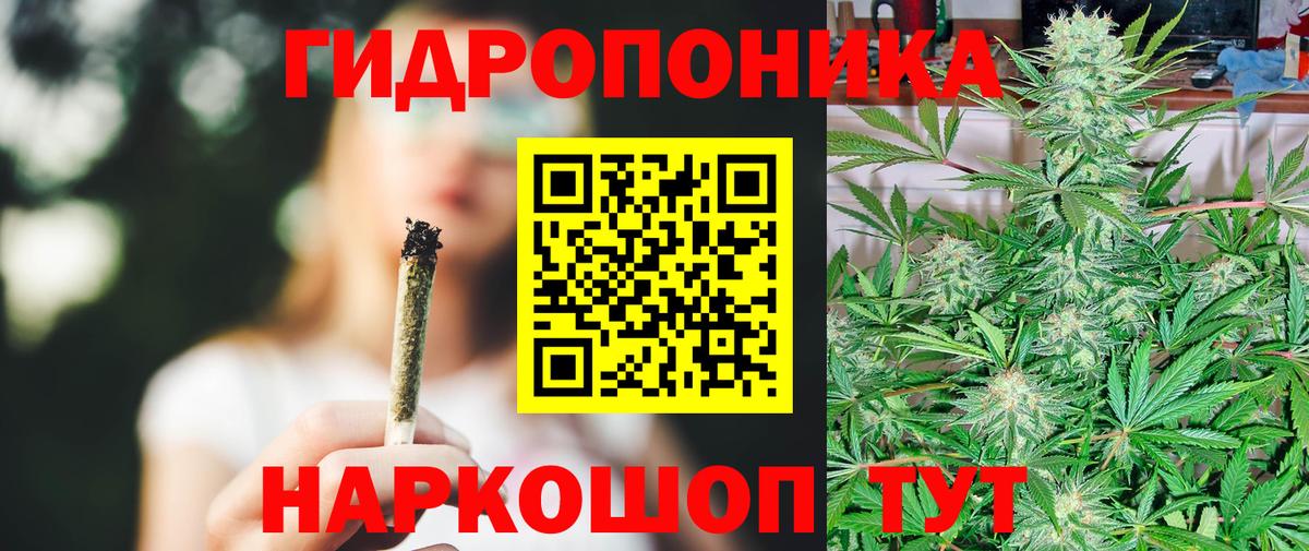 Бошки Шишки планчик Геленджик